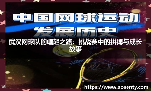 武汉网球队的崛起之路:挑战赛中的拼搏与成长故事
